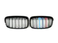 BMW 1 Series F20/F21 2011-2019 Kidney Grilles M-Look (2011-2014, M-Color) photo 2