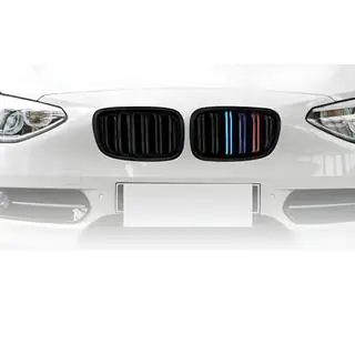 Kidney Grilles M-Look (2011-2014, M-Color) photo 1