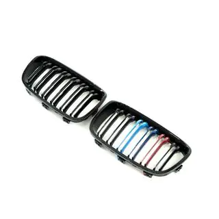 Kidney Grilles M-Look (2011-2014, M-Color) photo 3