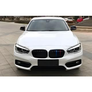 Kidney Grilles M-Look (2015-2019, M-Color) photo 1