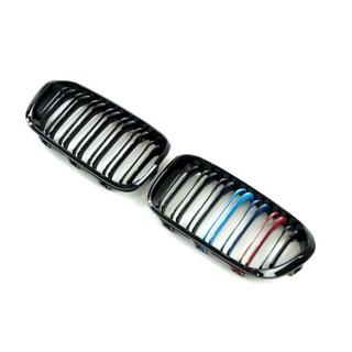 Kidney Grilles M-Look (2015-2019, M-Color) photo 4