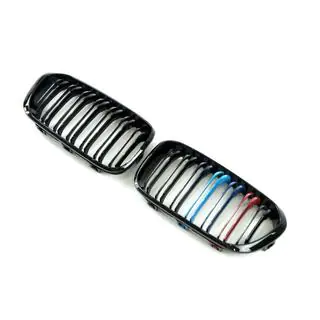 Kidney Grilles M-Look (2015-2019, M-Color) photo 4