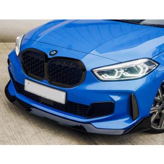 Diamond Black Kidney Grille (1 pc) photo 1