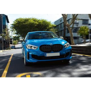 Diamond Silver Kidney Grille (1 pc) photo 1