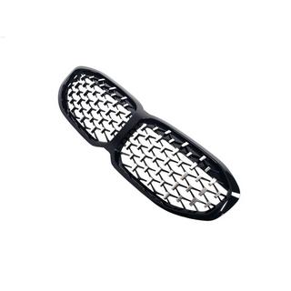 Diamond Silver Kidney Grille (1 pc) photo 4