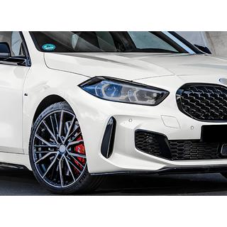 Diamond Silver Kidney Grille (1 pc) photo 3
