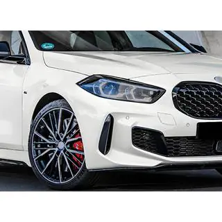 Diamond Silver Kidney Grille (1 pc) photo 3