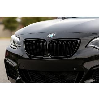 Kidneys M-Look (Gloss Black) photo 1