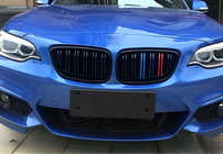 BMW 2 Series F22/F23 2014-2021 Kidney Grilles M-Look (M-Color) photo 3