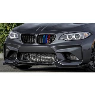 Kidney Grilles M-Look (M-Color) photo 1