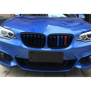 Kidney Grilles M-Look (M-Color) photo 3