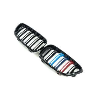 Kidney Grilles M-Look (M-Color) photo 4