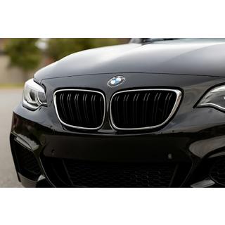 Kidneys M-Look (Gloss Black with Chrome Trim) photo 1