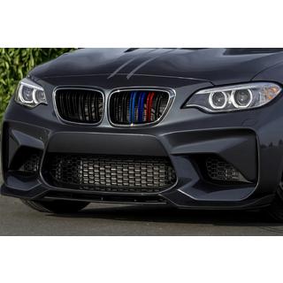 Kidneys M-Look (M-Color with Chrome Trim) photo 1