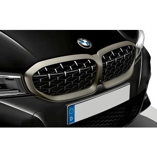 Diamond Silver Kidney Grilles (2018-2022, matte chrome trim) photo 1