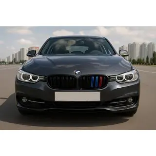 Kidney Grilles M-Look (for F34, M-Color) photo 1