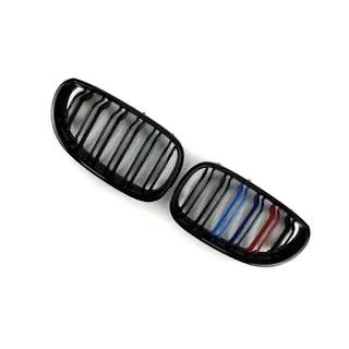 Kidney Grilles M-Look (M-Color) photo 3
