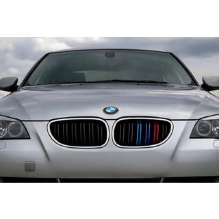 Kidneys M-Look (M-Color with Chrome Trim) photo 1