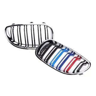 Kidneys M-Look (M-Color with Chrome Trim) photo 2