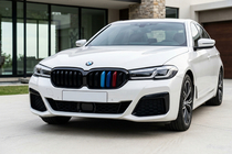 BMW 5 Series G30/G31 2017–2023 M-Look V1 Kidney Grilles (2021+, M-Color) photo 1