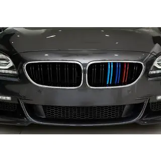 Kidneys M-Look (M-Color with Chrome Trim) photo 1