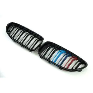 Kidney Grilles M-Look (M-Color) photo 3