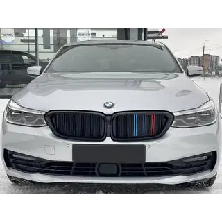Kidney Grilles M-Look (2017-2020, M-Color) photo 1