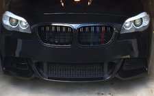 BMW X1 E84 2009-2015 Kidney Grilles M-Look (M-Color) photo 1