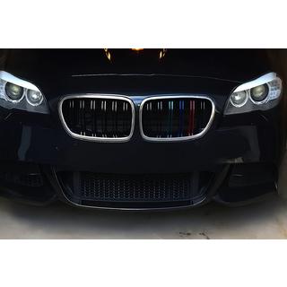 Kidneys M-Look (M-Color with Chrome Trim) photo 1