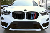 BMW X1 F48 2015-2022 Kidney Grilles M-Look (2015-2019, M-Color) photo 1