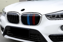 BMW X1 F48 2015-2022 Kidney Grilles M-Look (2015-2019, M-Color with Chrome Trim) photo 1