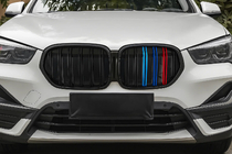 BMW X1 F48 2015-2022 Kidney Grilles M-Look (2020-2022, M-Color) photo 1