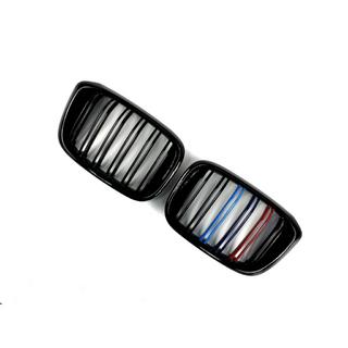 Kidneys M-Look (2018-2021, M-Color) BMW X3 G01 2018- photo 3
