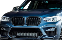 BMW X4 G02 2018- Kidney Grilles M-Look (2018-2021, Matte Black) photo 1