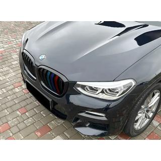 Kidneys M-Look (2018-2021, M-Color) photo 1