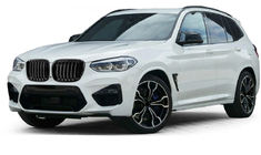 BMW X3 G01 2018- Kidney Grilles 1 Bar (2018-2021, Gloss Black) photo 1