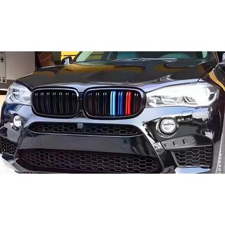 Kidney Grilles M-Look (M-Color) BMW X6 F16 2014-2019 photo 1
