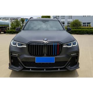Kidney Grilles M-Look (2019-2022, M-Color) BMW X7 G07 2019- photo 1