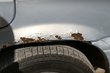 How dangerous are «mushrooms» on the body of a car? photo 1