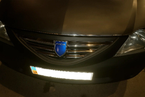 Dacia Logan I 2008-2012 Stainless Steel Grille Covers OmsaLine - Italian Stainless Steel photo 3