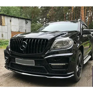 GT Panamericana Black front grille (for GL High) photo 3