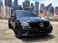 Mercedes GLC X253 2015-2022 Front Grille GT Panamericana Black (2015-2019) photo 7