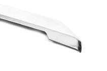 Ford Custom 2013-2022 Chrome trim above license plate (without camera, stainless steel) photo 4