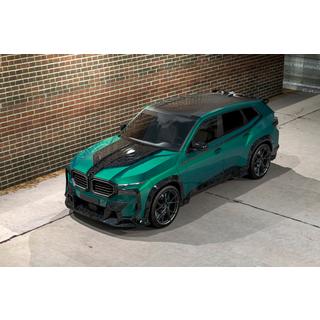 MNSR Carbon Body Kit (forged carbon) photo 1