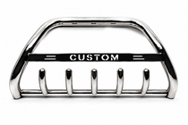 Ford Custom 2013-2022 Bull Bar WT004 (Stainless Steel) 60 mm photo 2