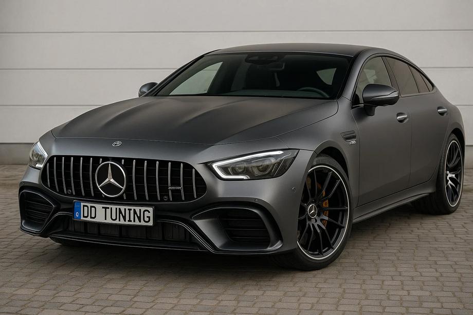 Mercedes AMG GT 4 X290 2018- Front Grille GT Panamericana (2018-2022) Image