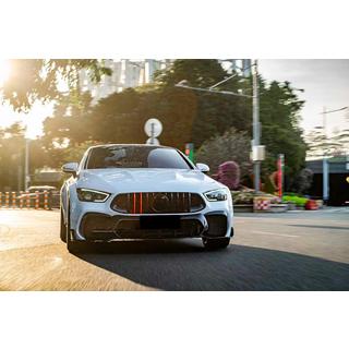Front Grille GT Panamericana GT-R (2018-2022) Mercedes AMG GT 4 X290 2018- photo 1