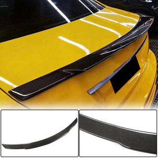 Spoiler SD V3 (Carbon) photo 1