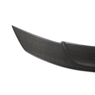 Spoiler V1 (Carbon) photo 2