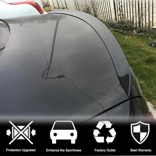 Spoiler V6 (Carbon) photo 2